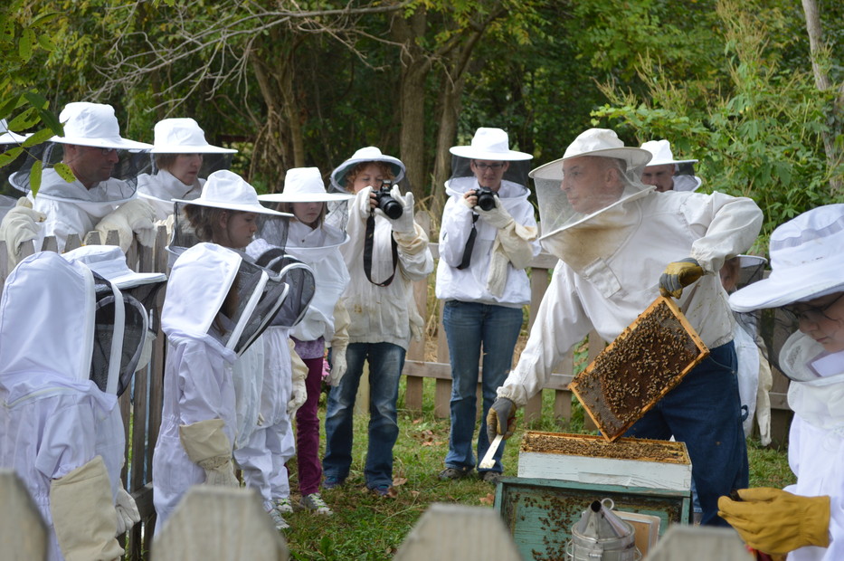 Bee Farm Tours